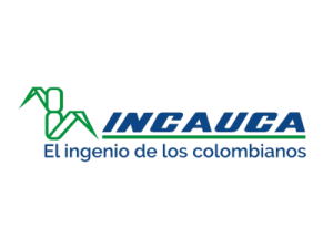 Logo incauca